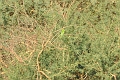 2013 02 09_7208_edited-2